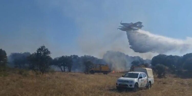 Extremadura suma más de 6.400 hectáreas quemadas desde junio en 105 incendios