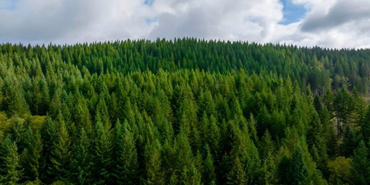 El fondo CIP defiende su macroproyecto eólico en Teruel de las críticas ambientales y administrativas