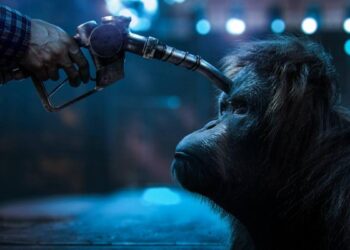 Piden al Gobierno que prohíba la importación de soja para frenar la deforestación tropical