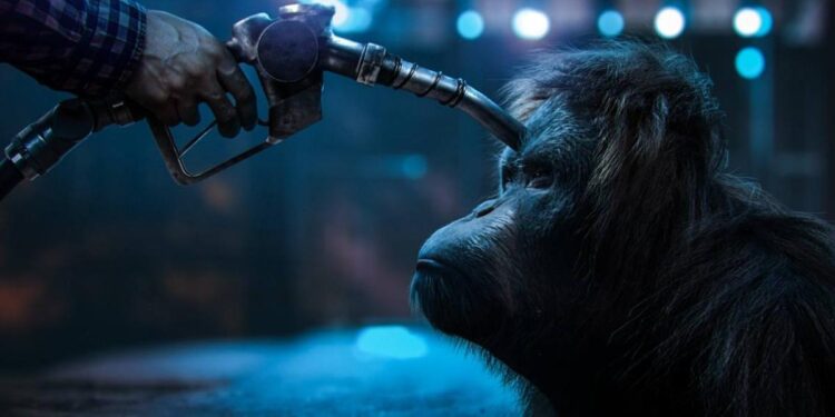 Piden al Gobierno que prohíba la importación de soja para frenar la deforestación tropical