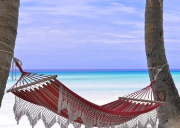 La enfermedad del camino