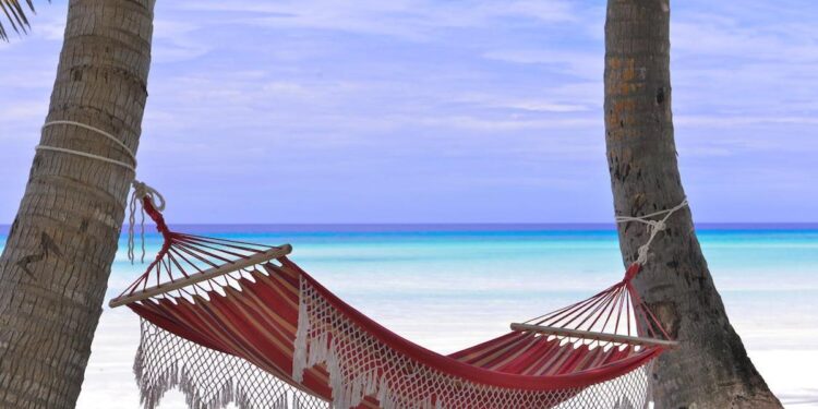 La enfermedad del camino