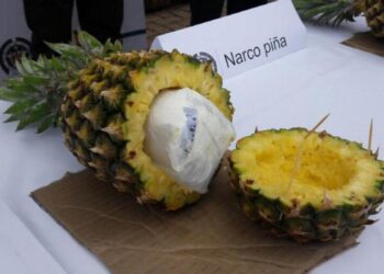 Cae un empresario maderero de Castellón con 625 kilos de cocaína camuflada entre piñas