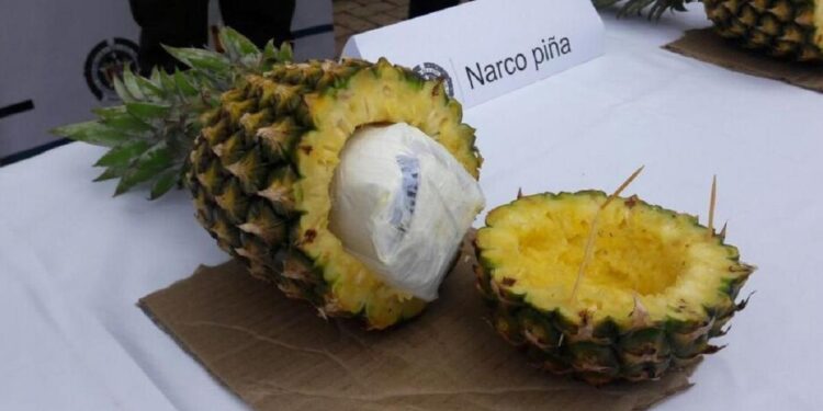 Cae un empresario maderero de Castellón con 625 kilos de cocaína camuflada entre piñas