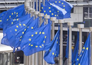 Cordón parcial a los ultra en la UE