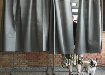 La Seguridad del Estado se prepara para “las elecciones más ciberamenazadas de la historia”