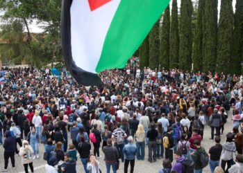 Más de 130 grupos de investigación universitaria firman un documento por la paz en Gaza y por el veto a instituciones israelís