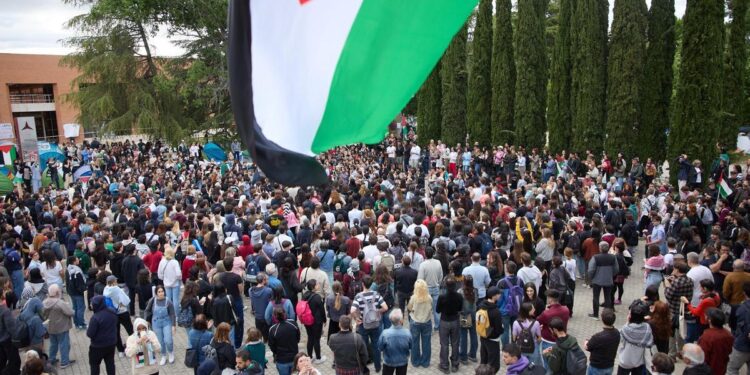 Más de 130 grupos de investigación universitaria firman un documento por la paz en Gaza y por el veto a instituciones israelís