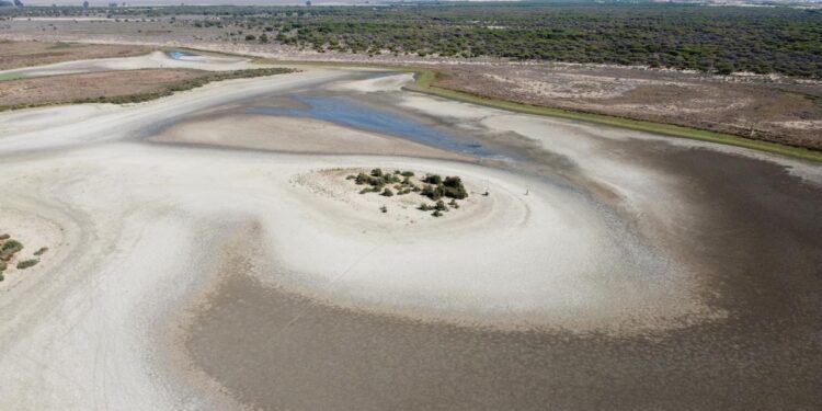 ¿Quién salvará Doñana?