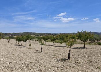 La desaladora de Sagunto se prepara para llevar agua en barco a Mallorca