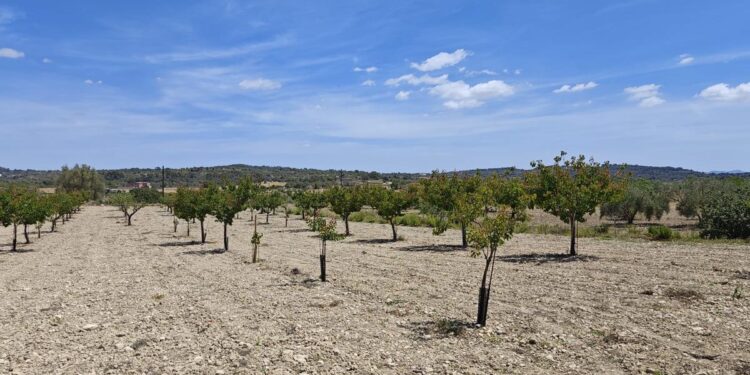 La desaladora de Sagunto se prepara para llevar agua en barco a Mallorca