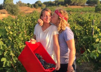 Los holandeses que compraron viñedos en Girona con un ‘crowdfunding’ y ahora llevan sus vinos a Escandinavia