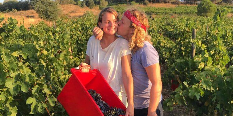 Los holandeses que compraron viñedos en Girona con un ‘crowdfunding’ y ahora llevan sus vinos a Escandinavia