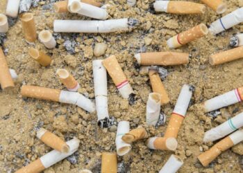 Aprobado el decreto que obliga a la industria del tabaco a hacerse cargo del reciclaje de las colillas de los cigarrillos