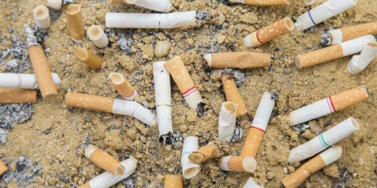 Aprobado el decreto que obliga a la industria del tabaco a hacerse cargo del reciclaje de las colillas de los cigarrillos