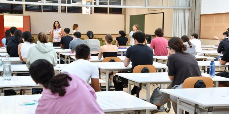 ¿Cuándo ingresan la beca MEC? Todo lo que debes saber: fechas y cuantía