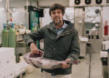 Viaje al centro de Pescaderías Coruñesas, los maestros del mar en Madrid: ‘Una sardina no tiene nada que envidiar a un besugo’