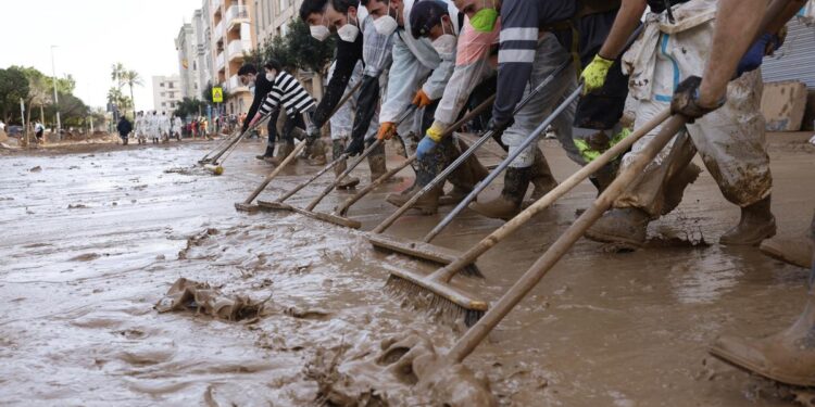 Cinco horas aferrados al árbol que salvó sus vidas durante la DANA: ‘Aguantamos golpes de carros y de todo lo que pasaba’