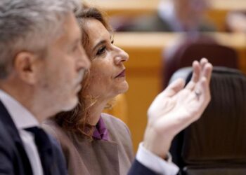 Desalojan del Senado a dos activistas de Femen que protestaban contra la cumbre internacional contra el aborto