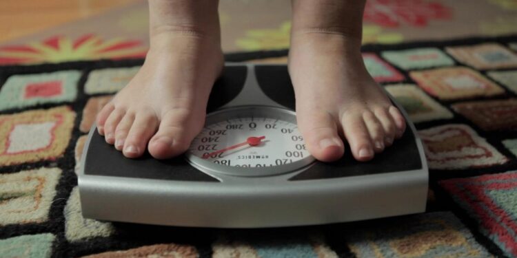 La memoria de la obesidad está en las células y podría explicar el efecto yo-yo de las dietas