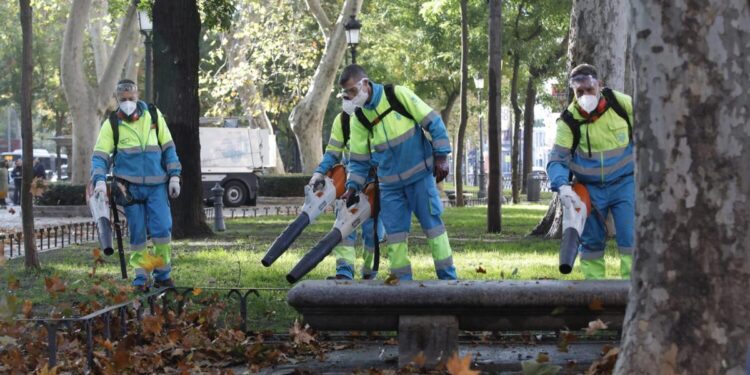 Madrid destina 2.265 operarios a retirar hasta 4.000 toneladas de hojas de las calles este otoño