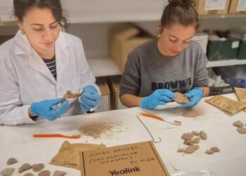 Vuelven a Galicia los restos ligados a Colón analizados en Granada