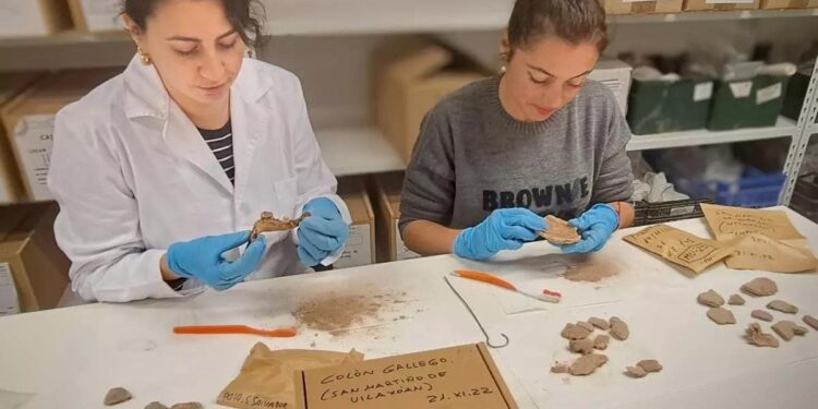 Vuelven a Galicia los restos ligados a Colón analizados en Granada