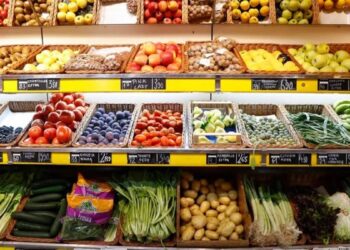 ¿Cómo influye la dieta en el riesgo de desarrollar demencia?