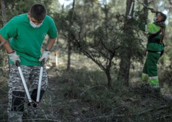 Transformación Digital busca dar un paso hacia ‘una administración más inclusiva’ con un nuevo marco legal laboral