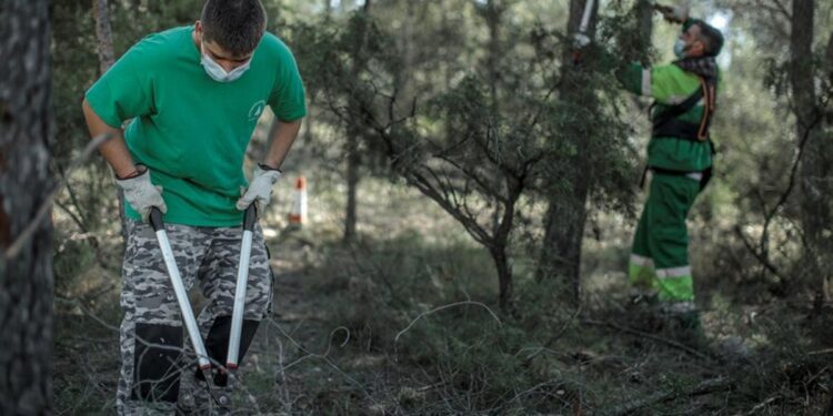 Transformación Digital busca dar un paso hacia ‘una administración más inclusiva’ con un nuevo marco legal laboral