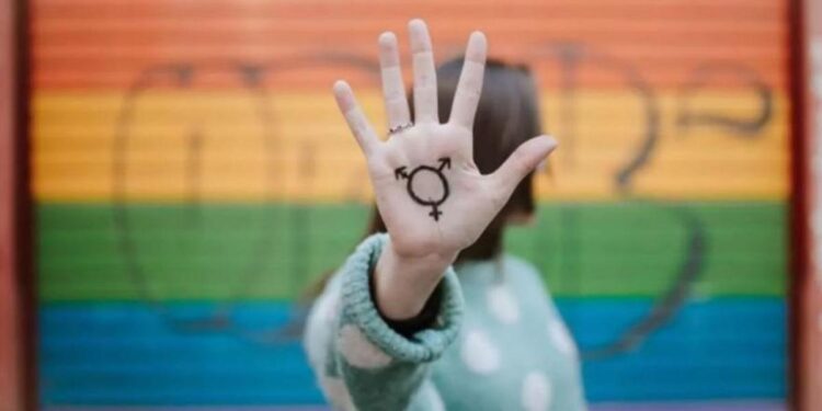 Cuál es el significado de la ‘Q+’ y por qué el PSOE no quiere incluirla en las siglas del colectivo LGTBI