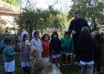 Perros en los colegios para reducir el abandono antes de Navidad: ‘Los niños tienen que aprender que los animales no son juguetes’