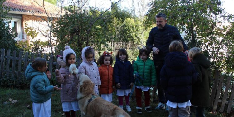 Perros en los colegios para reducir el abandono antes de Navidad: ‘Los niños tienen que aprender que los animales no son juguetes’