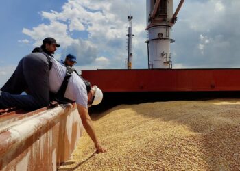 España financia envíos de trigo ucraniano a Siria mientras trata de recuperar inteligencia en Oriente Próximo