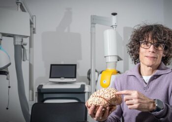 ‘Para niños a partir de los 10 años, los videojuegos tienen beneficios cognitivos’