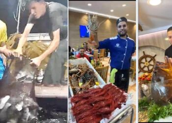 La surrealista ruta del pescado en Melilla: diez euros por pasarlo escondido en la frontera más cerrada de España