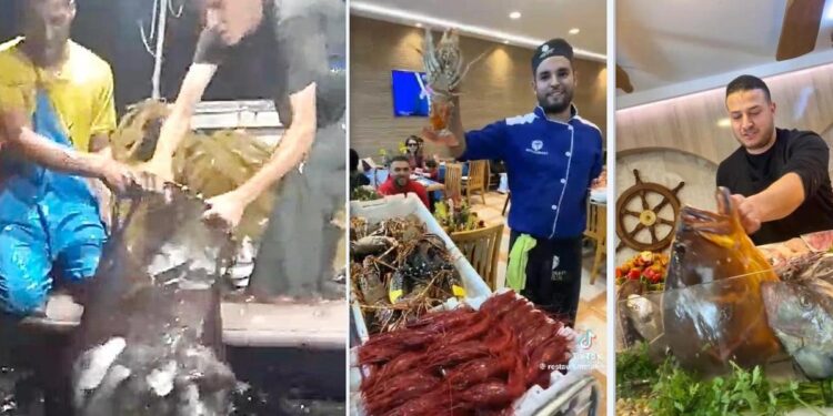 La surrealista ruta del pescado en Melilla: diez euros por pasarlo escondido en la frontera más cerrada de España