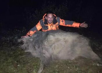 Abatido un descomunal jabalí en un pueblo de Zamora