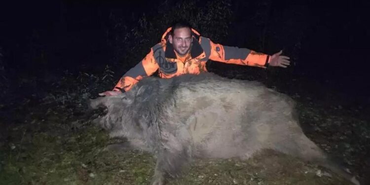 Abatido un descomunal jabalí en un pueblo de Zamora