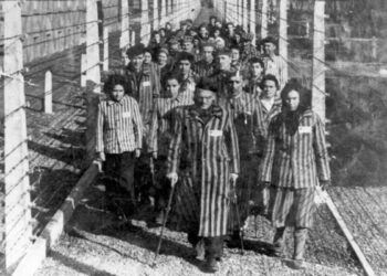 Auschwitz: 10 libros reviven los horrores del Holocausto