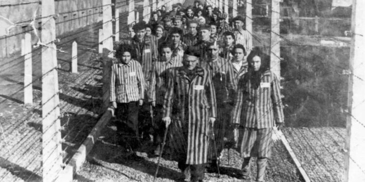 Auschwitz: 10 libros reviven los horrores del Holocausto