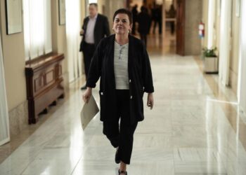 Bildu pide modificar la Ley del Deporte para que los deportistas no estén obligados a competir con la selección española