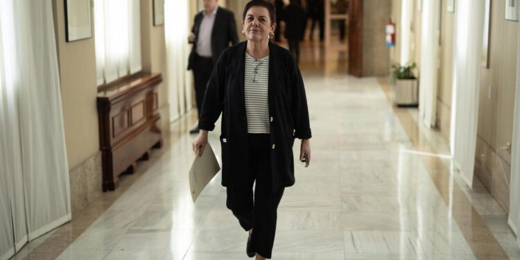 Bildu pide modificar la Ley del Deporte para que los deportistas no estén obligados a competir con la selección española