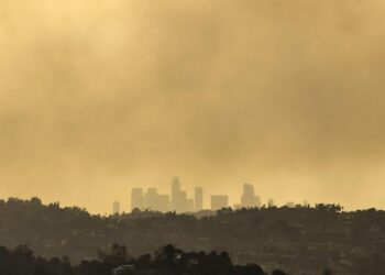 Década infernal para el planeta: cada año estuvo entre los 10 más cálidos desde que hay registros