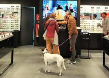 Ley de Bienestar Animal: ¿Qué está pendiente para 2025?