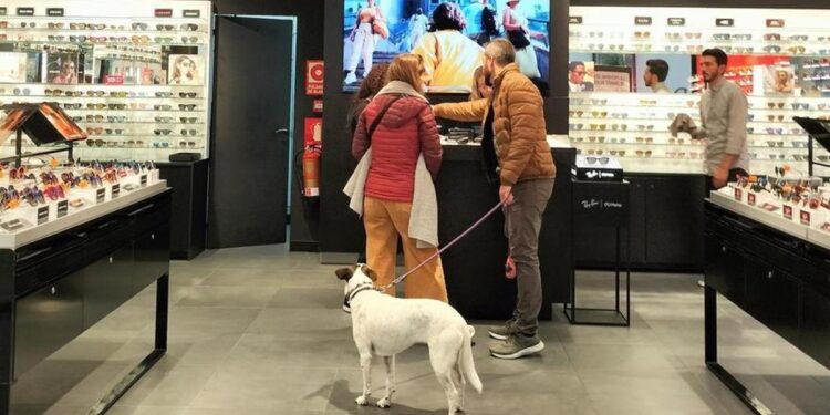 Ley de Bienestar Animal: ¿Qué está pendiente para 2025?