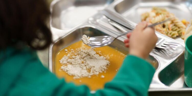 Casi un tercio de los comedores escolares ofrecen demasiadas frituras y más del 70% usan aceites no recomendados