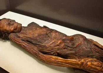 El Estado guarda la momia guanche de Tenerife en el almacén del Museo Arqueológico Nacional