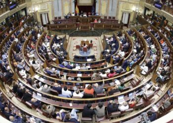 Dos de cada tres españoles prefieren que los diputados no tomen las decisiones políticas