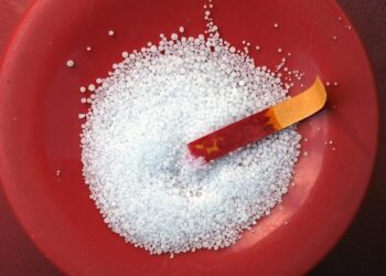 Si abusas de la sal tienes un 40% más de riesgo de padecer este cáncer, que es el más mortal